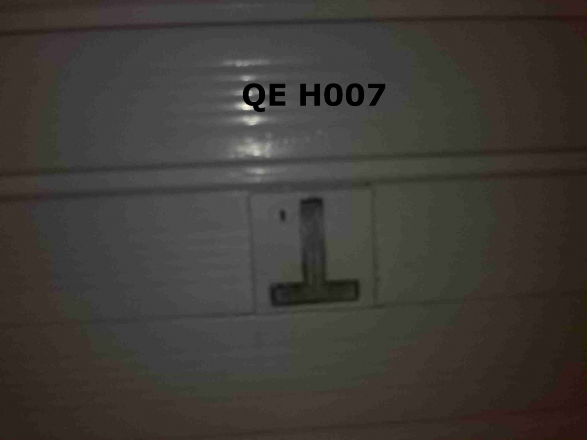 H007