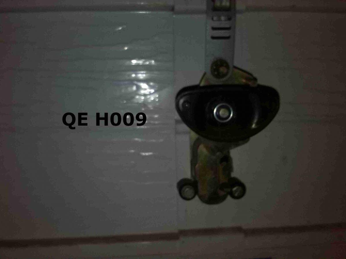 H009